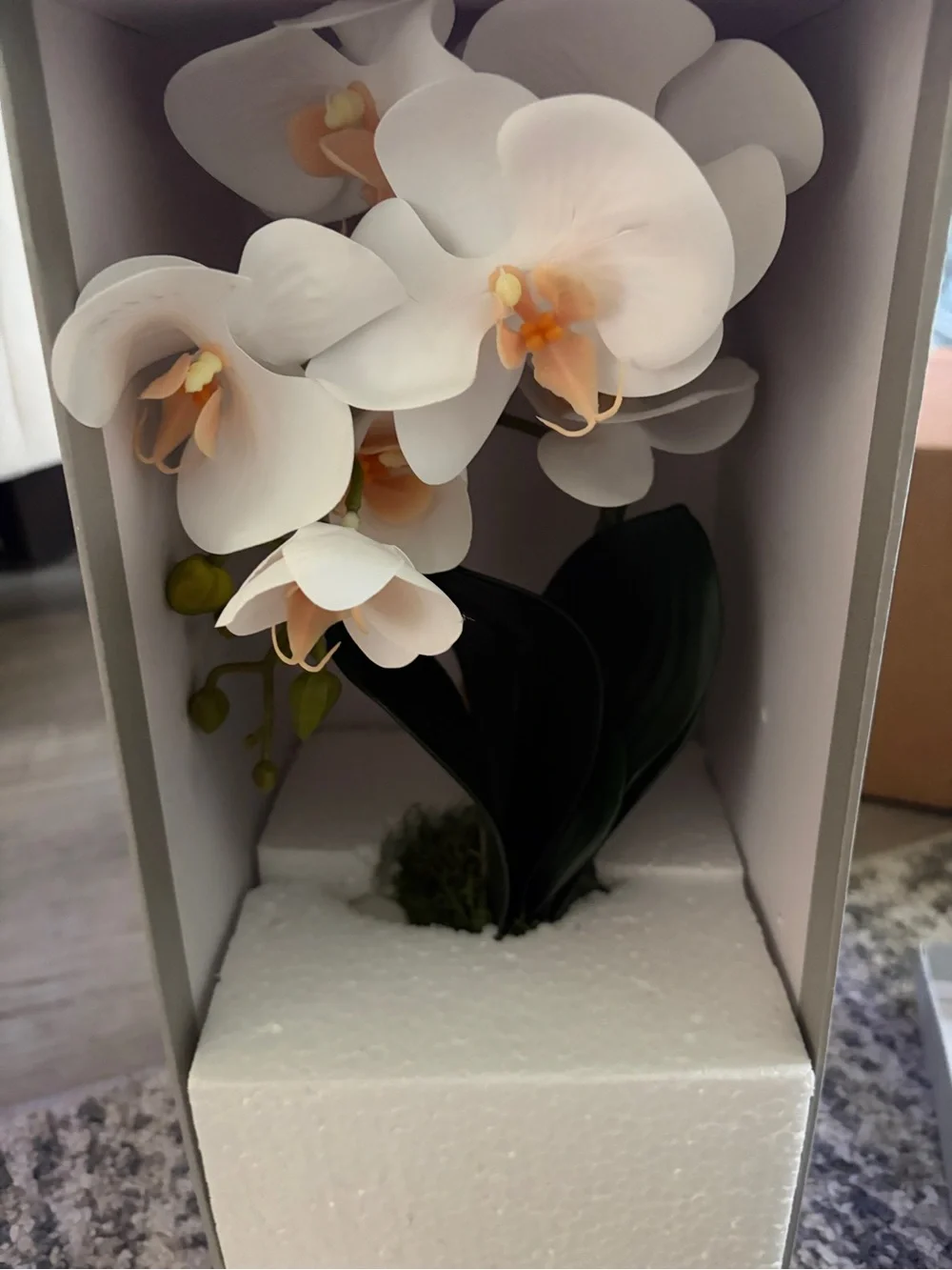 White Orchid Faux Plant in Cream Ceramic Pot